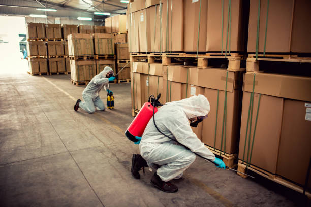 Flea Control Services in Collegeville, PA