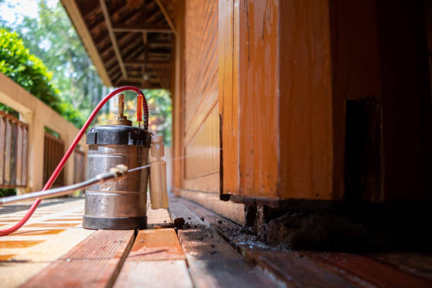Pest Control for Restaurants in Collegeville, PA